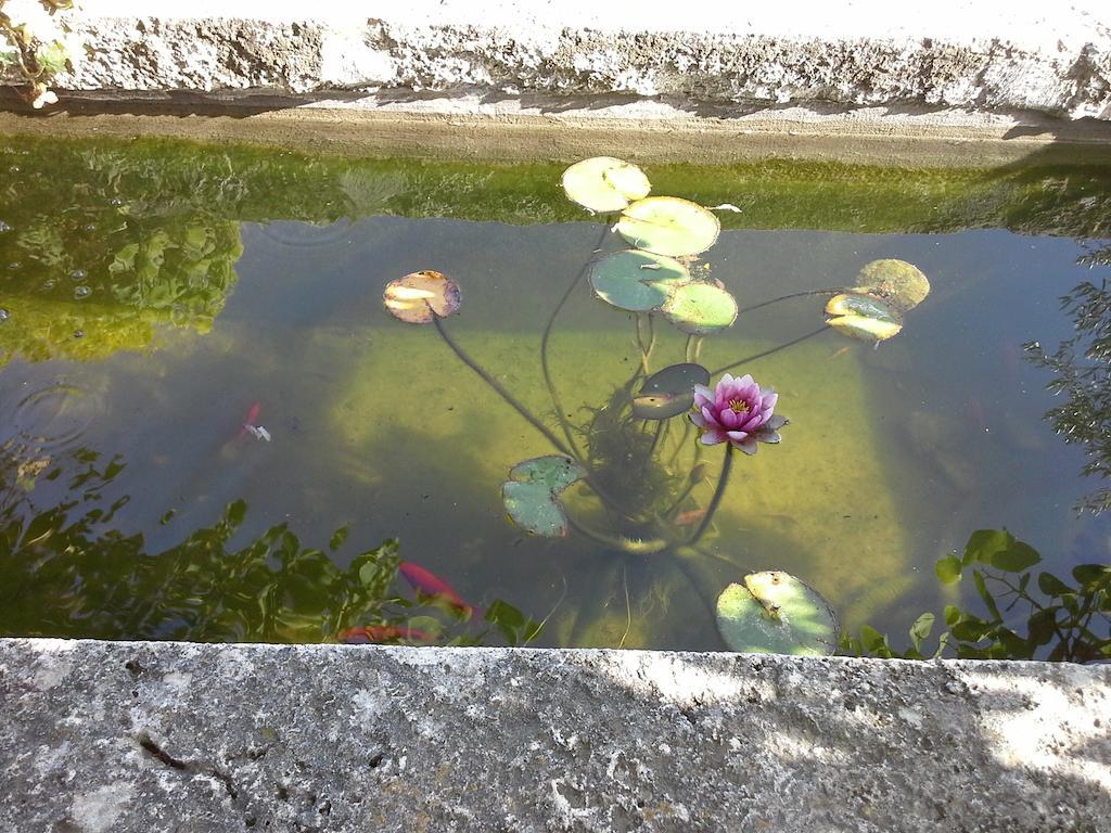 Poggio Mario Villa Saturnia Eksteriør billede